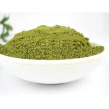 Mint leaves powder